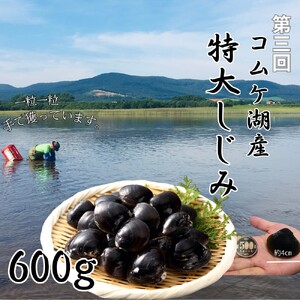 100-90 【北海道】北の漁師のごちそう 定期便 12品 全4回【紋別漁師食堂謹製】| 帆立 ほたて 蟹 かに お惣菜 グルメ おとりよせ 炊き込みご飯 海鮮丼 しじみ ずわいがに いくら お刺身 備蓄 お米によく合う