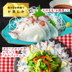 13-364 水だこ太足 小分け真空パック約700g～750g