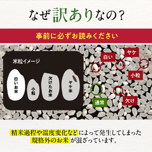 1-4 【年内発送12月15日入金まで】訳あり 北海道ブレンド米 2合(300g) 簡易包装 お試し within2025