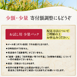 1-6 【年内配送12月15日入金まで】北海道産 ななつぼし 1合(150g) 簡易包装 お試し within2025