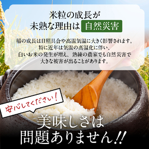 2-1 【年内配送12月15日入金まで】訳あり 北海道ブレンド米 4合(600g) 簡易包装 お試し within2025