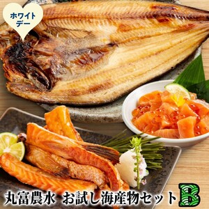 13-390 【ホワイトデー】丸富農水お試し海産物セットＢ