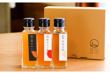 9-5 オホーツクの発酵酢100g3本セット(ロ)