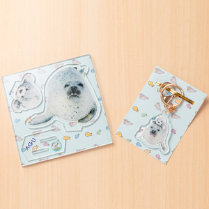 10-502 あぐのアクリルスタンド・キーホルダー【アザラシシーパラダイスグッズ】