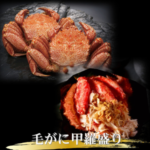 124-6 【年内発送12月15日入金まで】三大がに甲羅盛りセット 【たらばがに】【ずわいがに】【毛がに】 within2025