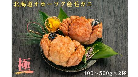 12-120 北海道産毛ガニ 400~500g×2杯