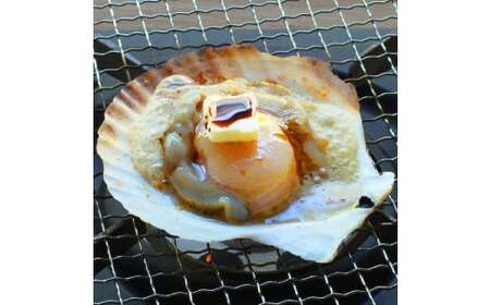 15-293 北海道産ホタテハーフシェル【BBQ用片殻付きほたて】