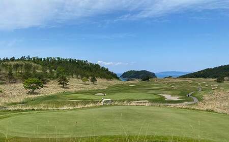 【夏泊ゴルフリンクス】 利用券3000円分 ゴルフ ごるふ GOLF ゴルフ場 ゴルフ券 プレー券 ロッジ チケット 温泉 旅行 休暇 趣味 スポーツ 自然 Lynx スコットランド プレイ ラウンド 利用券 ゴルフ場利用券 ゴルフ場プレー券 ゴルフプレー券 プレー券 コース利用券 青森県 平内町 東北  F21J-048