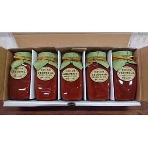 とまとけちゃっぷ5本セット_調味料 ケチャップ  _【1397239】
