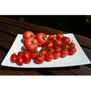 とまとけちゃっぷ5本セット_調味料 ケチャップ  _【1397239】