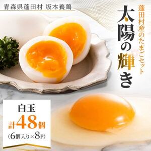 蓬田村産のたまごセット「太陽の輝き」白玉　48個(6個入り×8P)_卵・乳製品 卵  たまご タマゴ 玉子_【1593015】