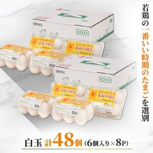 蓬田村産のたまごセット「太陽の輝き」白玉　48個(6個入り×8P)_卵・乳製品 卵  たまご タマゴ 玉子_【1593015】