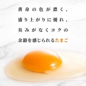 蓬田村産のたまごセット「太陽の輝き」白玉　48個(6個入り×8P)_卵・乳製品 卵  たまご タマゴ 玉子_【1593015】