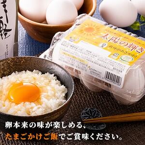 蓬田村産のたまごセット「太陽の輝き」白玉　48個(6個入り×8P)_卵・乳製品 卵  たまご タマゴ 玉子_【1593015】