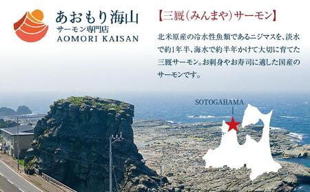 青森県産サーモン　【1.4kg】お刺身セット（約700g×2枚）【魚 お魚 さかな 食品 人気 おすすめ 送料無料】