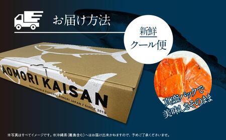 青森県産サーモン　【1.4kg】お刺身セット（約700g×2枚）【魚 お魚 さかな 食品 人気 おすすめ 送料無料】