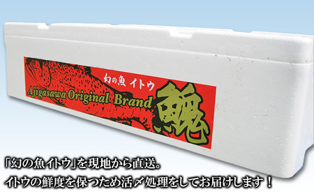 鮮魚でお届け！鰺ヶ沢産「幻の魚イトウ」1尾 約2kg ※配送地域限定