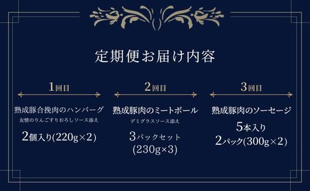 【3ヶ月連続お届け】【長谷川自然牧場産豚肉使用】【お家レストラン】旨味を味わうミンチ加工品定期便(ハンバーグ/ミートボール/ソーセージ各2パック×3ヶ月)