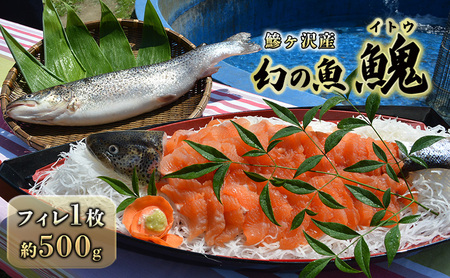 鰺ヶ沢産「幻の魚イトウ」フィレ1枚 約500g 魚貝類 川魚 