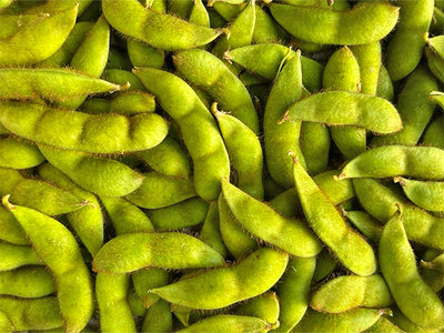 【 2026年産 数量限定 】青森の定番 毛豆 約1kg【 9月 クール便発送 】青森県鰺ヶ沢町産 ※オンライン決済のみ 野菜 枝豆 大粒 甘みが強い 豊かな香り コク ほっくり おつまみ 料理 お弁当 食材