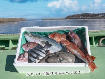 津軽 鰺ヶ沢産鮮魚詰め合わせ5～15尾程度【11月～6月発送】 ※東北