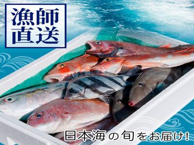 津軽 鰺ヶ沢産鮮魚詰め合わせ5～15尾程度【11月～6月発送】 ※東北