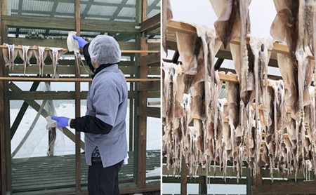 青森県鰺ヶ沢町 生干しイカ 3枚セット お申込みから3ヶ月以内の発送になります 青森 イカ いか 国産 魚介 青森県鰺ヶ沢町 ふるさと納税サイト ふるなび