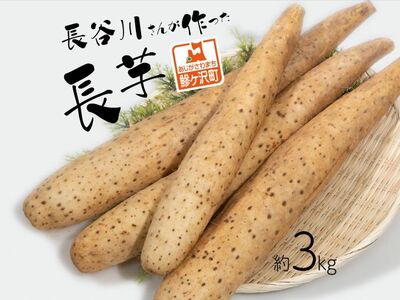 長谷川さんが作った長芋(約3kg)