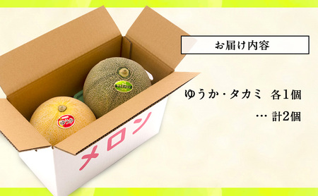 【先行予約2024年産】長谷川さんが作ったメロン2個（ゆうか・タカミ）　7月～8月発送　青森県鰺ヶ沢町産