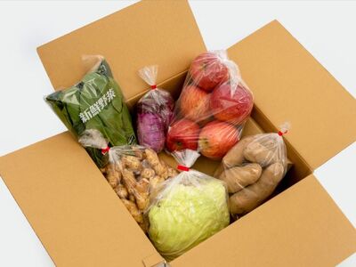 世界自然遺産白神山地のまちから 旬の野菜おまかせセット 青森県鰺ヶ沢町 ふるさと納税サイト ふるなび