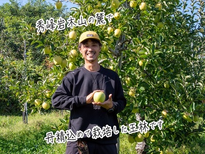 りんご 青森 サンふじ 王林 約 10kg (24～36玉) リンゴ 詰め合わせ セット 青森県 鰺ヶ沢町産 西樹園 フルーツ 果物 果物類 白神山地 林檎 サンフジ ふじ