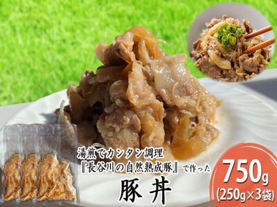 豚丼 750g (250g×3袋) 長谷川の自然熟成豚 湯煎 湯せん おかず 惣菜 レトルト レトルト食品 簡単調理 豚 ぶた ブタ 豚肉 肉 お肉 キャンプ アウトドア キャンプ飯 青森 青森県 鯵ヶ沢町