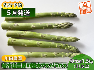先行予約 2026年 岩木山高原 超極太 アスパラガス 約1.5kg 2L以上 5月6月発送 アスパラ 野菜 旬の野菜 産地直送 季節の野菜 春野菜 青森 青森県 鰺ヶ沢町