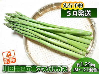 先行予約 川田農園 アスパラガス 約1.5kg L～2L 厳選 5月6月発送 アスパラ 野菜 旬の野菜 産地直送 季節の野菜 春野菜 青森 青森県 鰺ヶ沢町