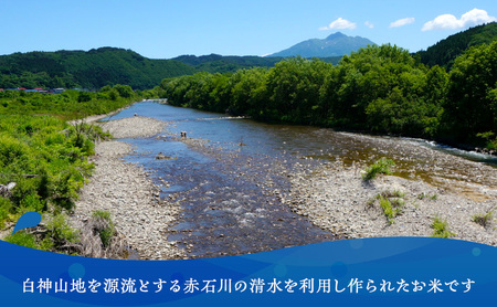 令和5年産 まっしぐら 白米 20kg（10kg×2袋）※令和5年10月上旬より順次