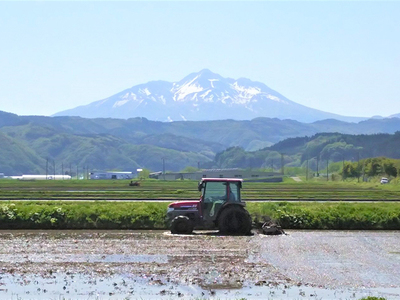 青森県鰺ヶ沢町産【山下農園】令和5年産 つがるロマン 白米 20kg（10kg