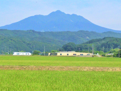 青森県鰺ヶ沢町産【山下農園】令和5年産 つがるロマン 白米 20kg（10kg