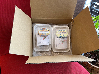 熟成豚肉 パテ 2個 セット 詰め合わせ 長谷川自然牧場 レストラン山崎 冷凍 加工肉 加工品 豚 豚肉 お肉 肉 おつまみ つまみ 惣菜 おかず お家ディナー 前菜 パーティー料理 夕飯 熟成豚 フランス料理 青森 青森県 鯵ヶ沢町