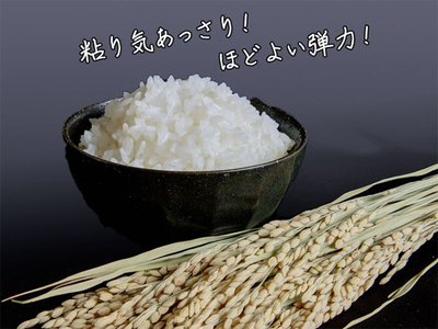 青森県鰺ヶ沢町【令和5年産】特別栽培米 まっしぐら 白米 10kg（5kg×2袋）