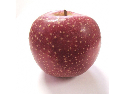 風丸農場 千雪りんごのジュース 無添加 青森県産 180ml×12本セット 飲料類 果汁 不思議 甘さ 香り ドット模様 独特