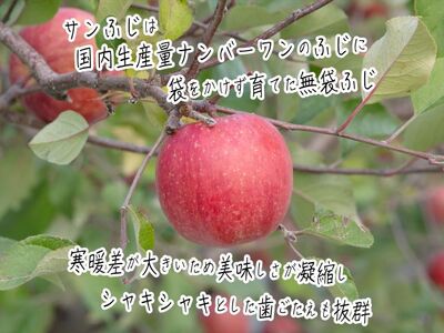 【 1月発送 】ヒバリノ園 サンふじ 約 5kg （14～18玉）青森県鰺ヶ沢町産 りんご 果物 フルーツ デザート シャキシャキ ※オンライン決済のみ