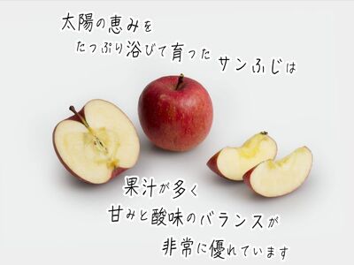 【 1月発送 】ヒバリノ園 サンふじ 約 5kg （14～18玉）青森県鰺ヶ沢町産 りんご 果物 フルーツ デザート シャキシャキ ※オンライン決済のみ