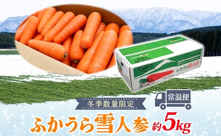 【冬季数量限定】ふかうら雪人参 約5kg 人参 にんじん ニンジン ジュース フルーティー 甘い おいしい ブランド 野菜 青森県 深浦町