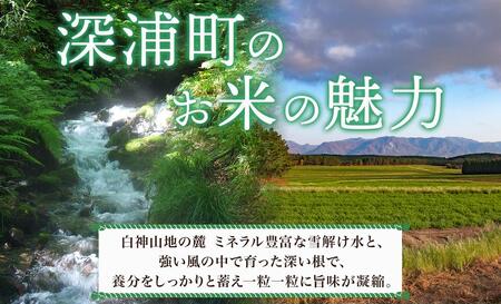 青森ブランド米 まっしぐら10kg 白米 米 お米 コメ こめ 食品 ご飯 ごはん 和食 あっさり 国産 送料無料 つややか 青森県 深浦町