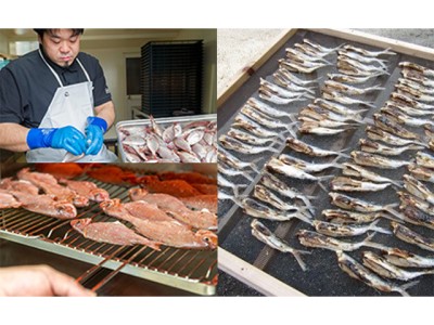 【千畳敷センター】青森県深浦産・無添加だし粉 25g／30g 8本セット【8種類×1本ずつ】 出汁 