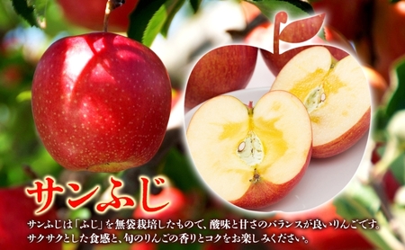 サンふじ 約3kg 贈答用 特A 特選 1月発送 化粧箱入 りんご 林檎 リンゴ 果物 フルーツ くだもの 旬 青森県産 お取り寄せ 贈り物 プレゼント 人気 東北 名産 産地直送 常温 青森県 西目屋村 
