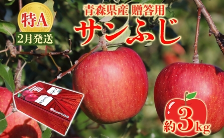 サンふじ 約3kg 贈答用 特A 特選 2月発送 化粧箱入 りんご 林檎 リンゴ 果物 フルーツ くだもの 旬 青森県産 お取り寄せ 贈り物 プレゼント 人気 東北 名産 産地直送 常温 青森県 西目屋村