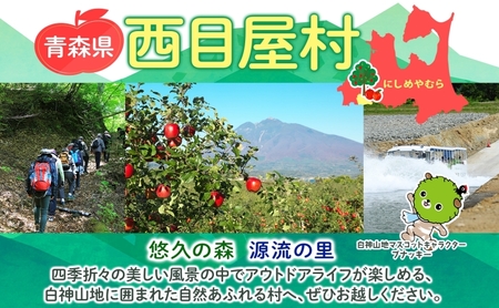 白神 トッピングハニー 200g 2本入 蜂蜜 はちみつ 採蜜 パン ヨーグルト ブレンド アイスクリーム トッピング プレゼント 贈答 ギフト お土産 西目屋村 青森県