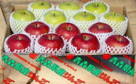 【3月発送】贈答用 サンふじ・王林詰め合わせ 約10kg【青森りんご】 果物 果実 フルーツ 新鮮 美味しい 自然環境 赤い 黄色い 太陽 ジューシー 芳香 セット 贈り物 ギフト