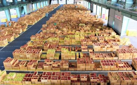 【3月発送】贈答用 サンふじ・王林詰め合わせ 約10kg【青森りんご】 果物 果実 フルーツ 新鮮 美味しい 自然環境 赤い 黄色い 太陽 ジューシー 芳香 セット 贈り物 ギフト